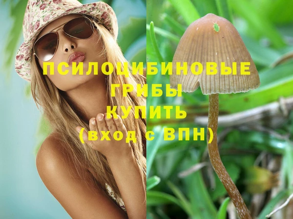 спиды Баксан