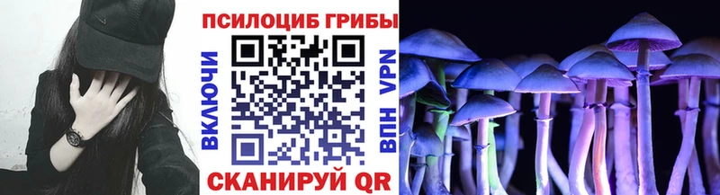 Псилоцибиновые грибы ЛСД Купить Белокуриха